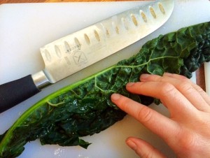 kale and knife2