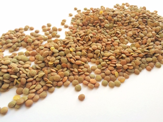 lentils dry
