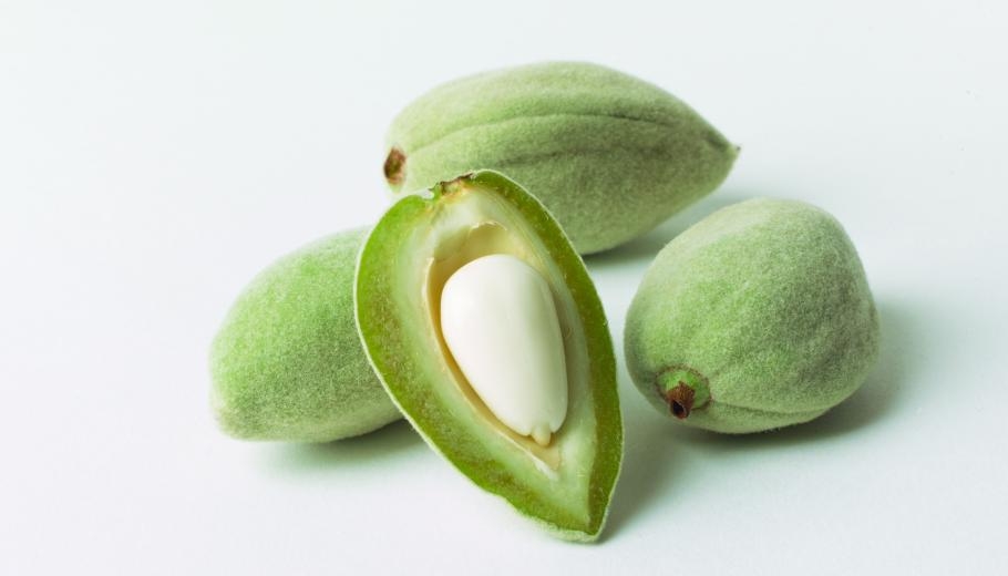 greenalmonds-pic-from-almond-council-site