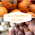 orange and white pumpkins and text 50+ Pumpkin Recipes
